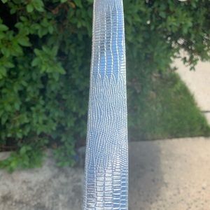Silver Metallic Snack Skin Belt